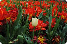 Use content marketing to stand out from the competition